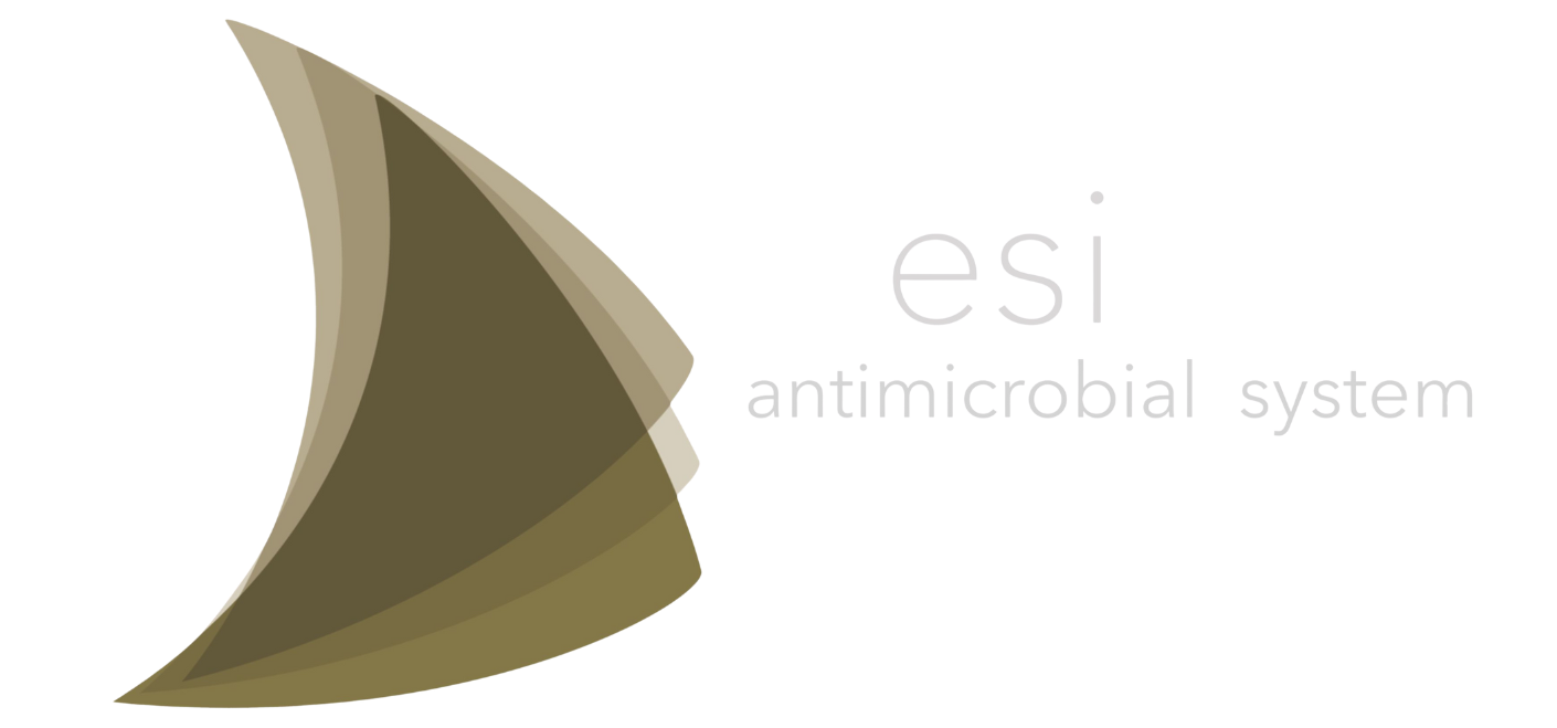 Logo Esi